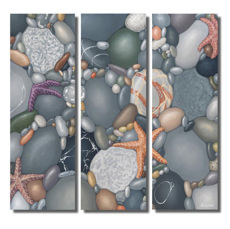 Colleen's Sea Stars (36x36)