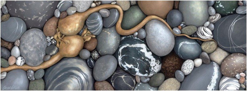 Kelp and Stones
